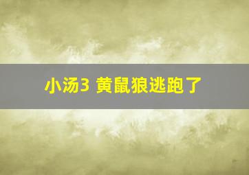 小汤3 黄鼠狼逃跑了